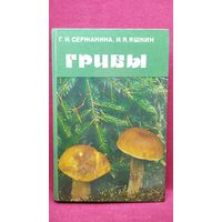 Грибы