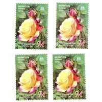 Марка Роза 'Глория Дей'