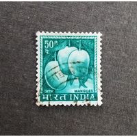 Марка Индия 1965 год Стандарт