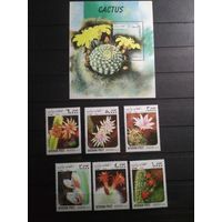 Афганистан 1999 г. Кактусы.