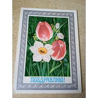 Фото Ф.Маркова Поздравляю! 1978г