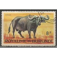 Бурунди. Животный мир страны. Африканский буйвол. 1964г. Mi#96.