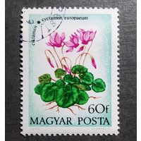 Марка Венгрия 1975 год Цветы