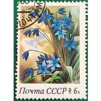 СССР 1983. Пролеска сибирская