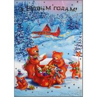 Беларусь ДМПК 2007 С Новым годом !