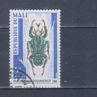 [113] Мали 1967. Фауна.Насекомые.Жук. Гашеная марка.