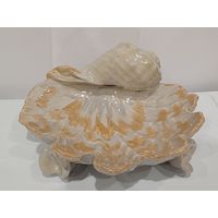 Все лоты с 1р.Ракушка для украшений фарфор большая