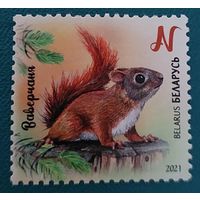 Беларусь 2021 Бельчонок