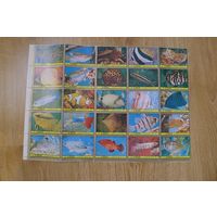 Аджман-1972 , гаш.  , Морская  Фауна ,Рыбы, 25 марок