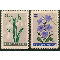 Болгария 1966 цветы 2 из 8.