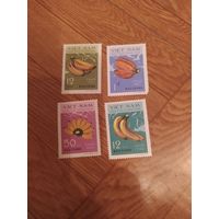 Вьетнам серия марок 1969 г. Бананы