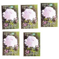 Марка Пион 'Памяти Гагарина'