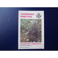 Календарик 1987 г.  Красная книга Узб.ССР. Орлан-белохвост.
