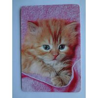 Календарик 1997 г. Котенок.