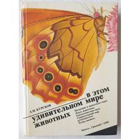 В этом удивительном мире животных | Курсков Александр | Животные