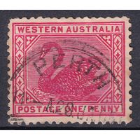 158.Aust. Великобритания. Австралийские штаты. Западная Австралия. Чёрный лебедь. Стандарт. 1902 г. 1p. Mi.#49A.