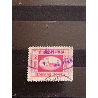 1899 Россия земская почта Уржумский уезд Чучин 5 хорошая сохранность фауна птица лебедь (4-15)