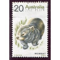 Австралия. Фауна