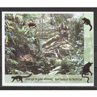 ФФ1 Индия 2009 Фауна