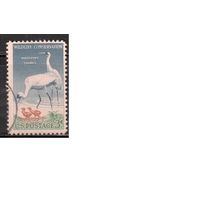 США-1957, (Мих.721), гаш. , Фауна, Цапля(одиночка) ,