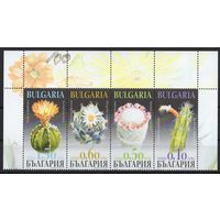 Болгария 2009. Флора. Кактусы (4900)