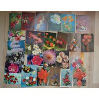 Открытки Цветы Чистые 25 штук