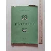 Павловск - VI