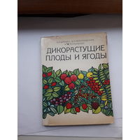Шапиро Дикорастущие плоды и ягоды