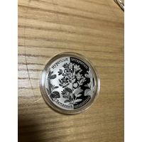 Святаяннік чатырохкрылы (Зверобой) 1 р. Абмен.