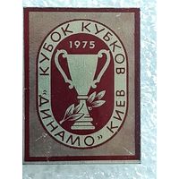 Значок Футбол Кубок Кубков Динамо Киев 1975 г.