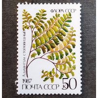Марка СССР 1987 год Папоротник