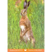 Фауна Беларуси: заяц-русак, тираж 4000 экз., чистая, 2016