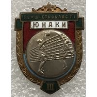 ВОЛЕЙБОЛ ПЕРВЕНСТВО ОБЛАСТИ ЮНАКИ 3 МЕСТО