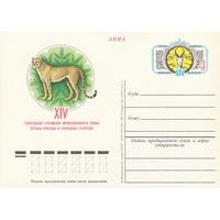 СССР 1978 ПК с ОМ XIV Генеральная ассамблея Международного союза охраны природы и природных ресурсов. Ашхабад (к3)