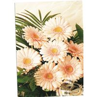 Беларусь Почтовая карточка без в/д