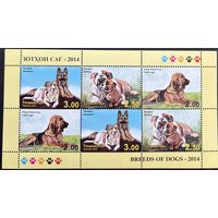 Таджикистан 2014  . Фауна. Собаки. Малый лист