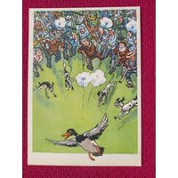 Сезон начался! Семенов 1960 г. Чистая. Кр1.
