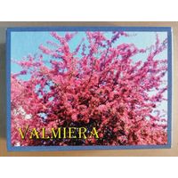 Латвия, города на спичечных коробках, Валмиера, 7 х 5 х 2 см, спички