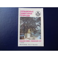 Календарик 1987 г.  Красная книга Узб.ССР.  Шелковица.