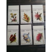 Куба 1993 г. Цветы.