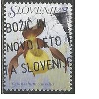 Словения. Цветы. Башмачок. 2007г. Mi#615.
