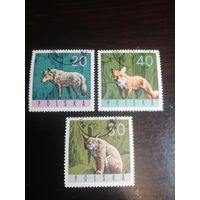 Польша 1965 фауна