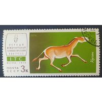 СССР 1974 конгресс , кулан,  клей.