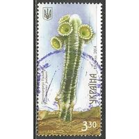 Украина. Кактусы. 2014г. Mi#1425.