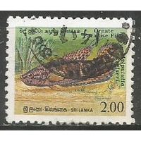 Шри Ланка. Рыбы. Пятнистый гурами. 1990г. Mi#933.