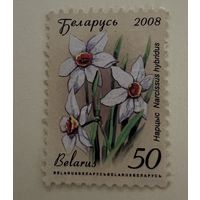 Нарцисс (простая бумага). Стандартный выпуск ( не полная серия)