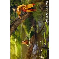 Календарик карманный Страхование Белгосстрах 2017