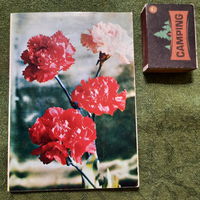 Поздравительная телеграмма на открытке, 1975г.