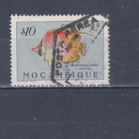 [886] Португальский Мозамбик 1951. Фауна.Рыба.0,10 э. Гашеная марка.