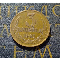 3 копейки 1981 СССР #49